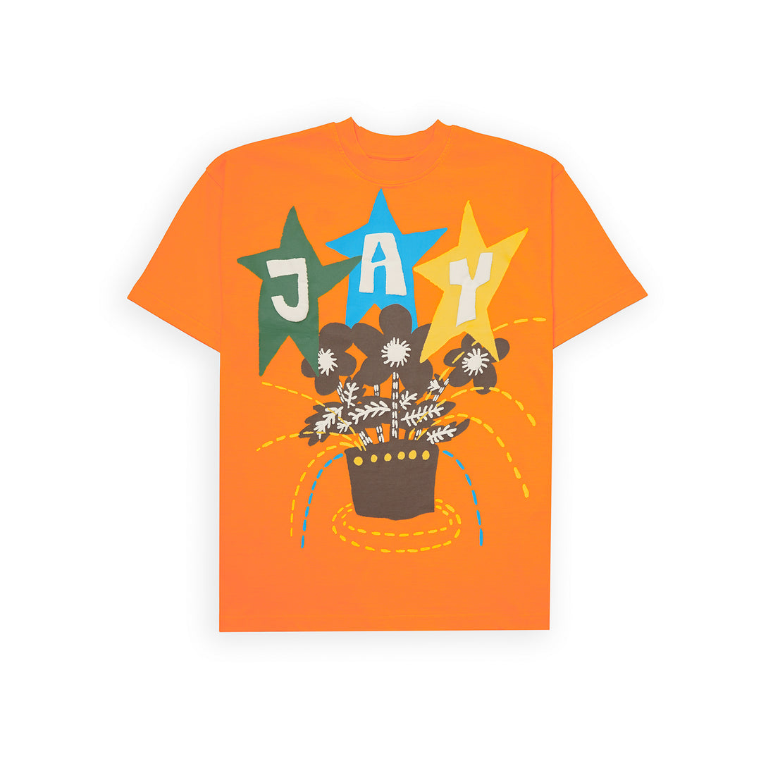 FLOWER POT 2 0 T SHIRT IN ORANGE UNISEX JAYWALKING flower-pot-2-0-t-shirt-in-orange-unisex-jaywalking